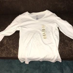 A long sleeve V- Neck